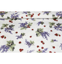 Dekorační bavlněná látka Letní úroda, š. 140 cm